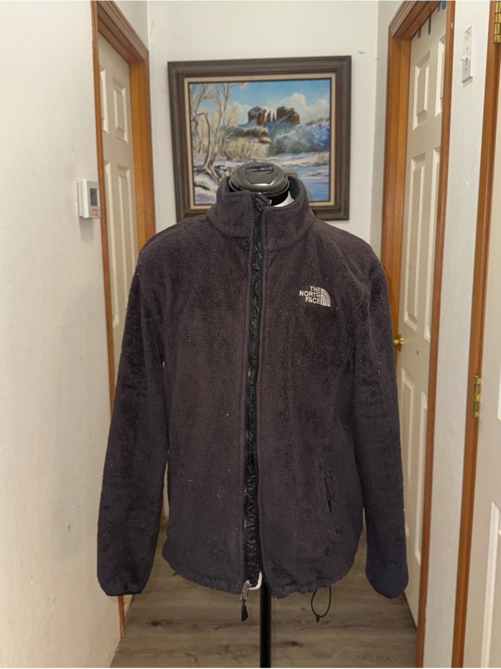 The North Face Men’s Fleece Jacket